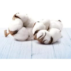 Heimtextilien -Heimtextilien 0be64aaf67b24a10b25b021933b3d50f8b4d9d35 raumduft airwick freshmatic max pure 250 ml