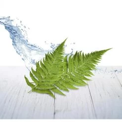 Heimtextilien -Heimtextilien 99d5edb6e7851813b96090c87d37dacc165d7b85 raumduft airwick duftgel 150 g