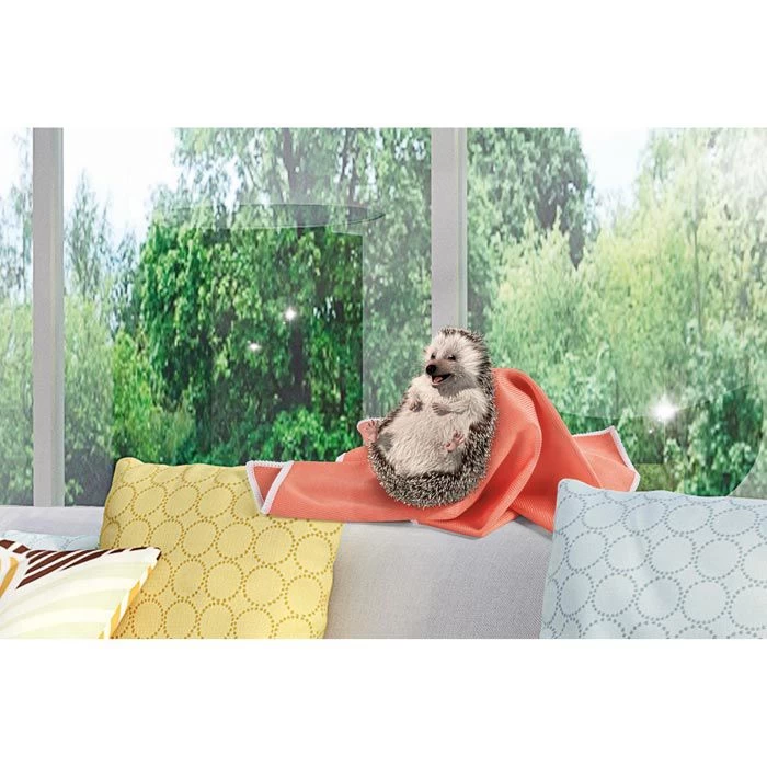 Spontex Fenstertuch Microfibre Spezial Fenster, Streifenfreie Reinigung, 35 X 35cm 6 Spontex Fenstertuch Microfibre Spezial Fenster, Streifenfreie Reinigung, 35 X 35cm – Bild 4